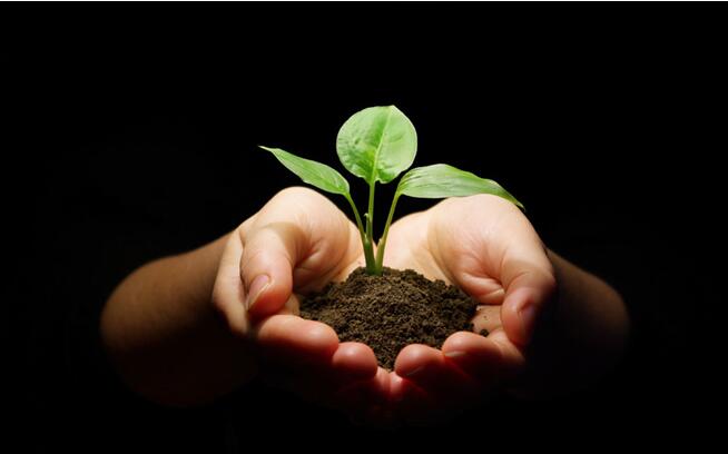 腐殖酸對(duì)土(tǔ)壤的(de)重要(yào)性