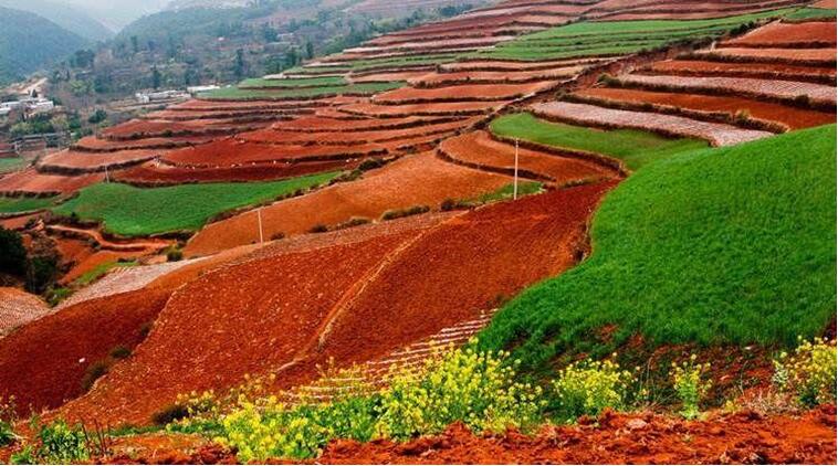 中國(guó)土(tǔ)壤幾病症，該如(rú)何管理(lǐ)土(tǔ)壤？