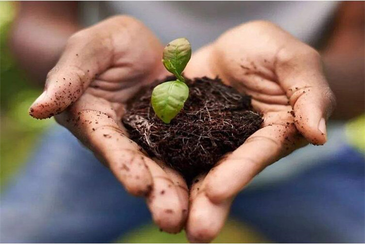 腐植酸修複土(tǔ)壤真那(nà)麽神奇嗎(ma)？