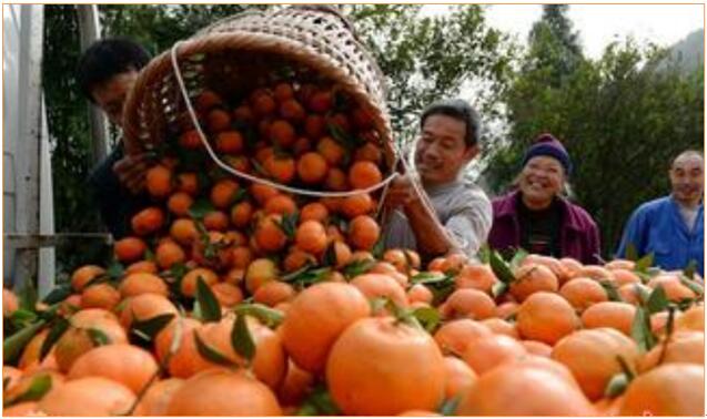 用(yòng)對(duì)磷酸二氫鉀 讓你(nǐ)的(de)作(zuò)物(wù)成為(wèi)别人(rén)家(jiā)羨慕的(de)對(duì)象！