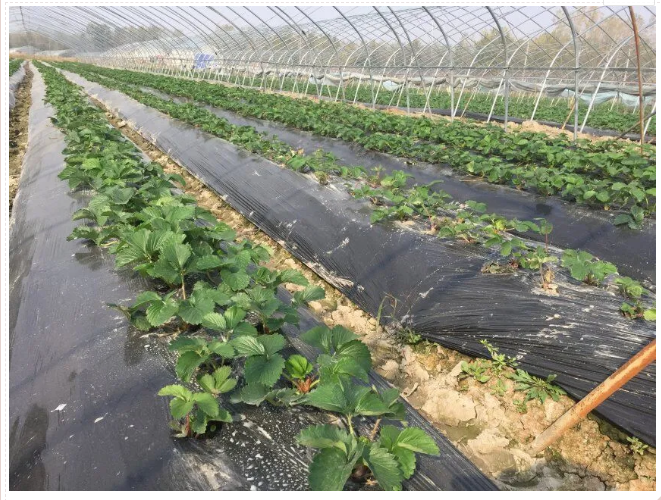 1619056281176716.png 3.png