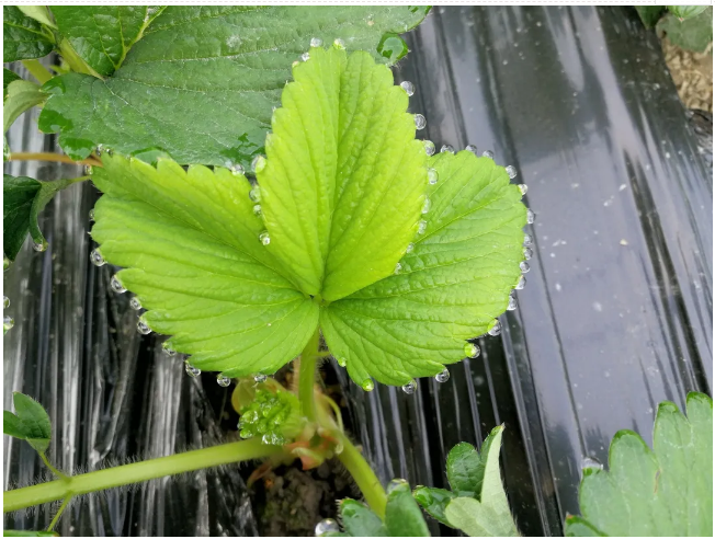 1619056318118364.png 5.png