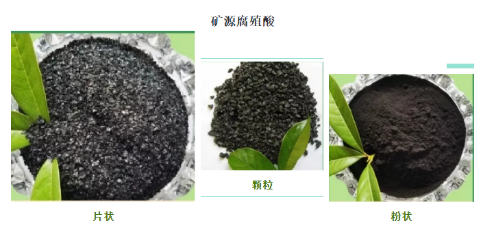 看(kàn)過來(lái)！帶你(nǐ)了(le)解司普沃赫蔓核心成分(fēn)-礦源腐殖酸