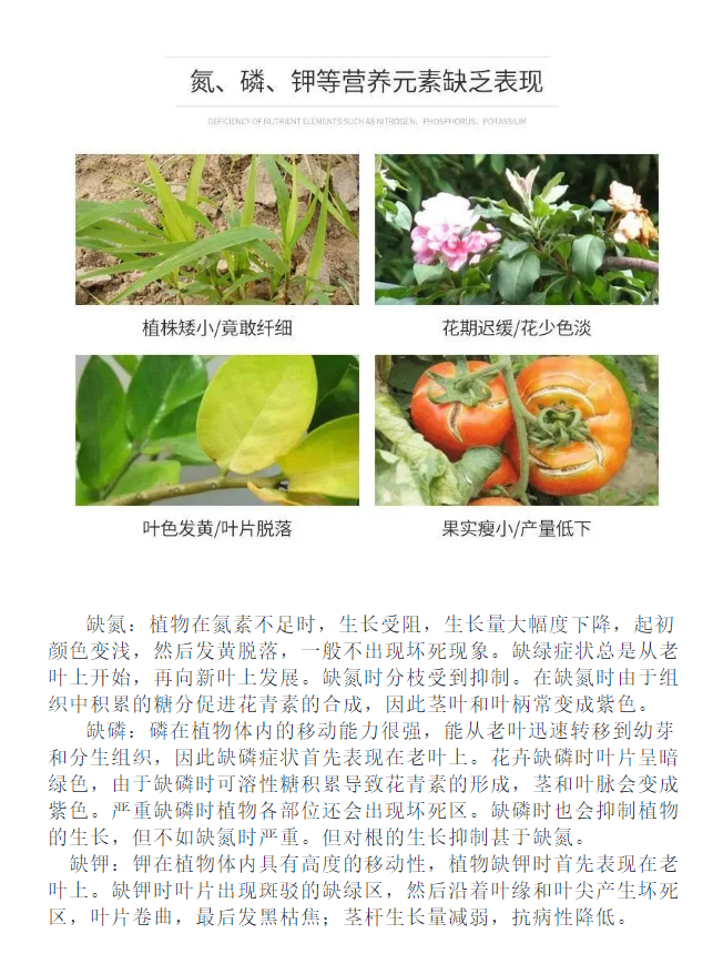 1619057172106653.png 4.png