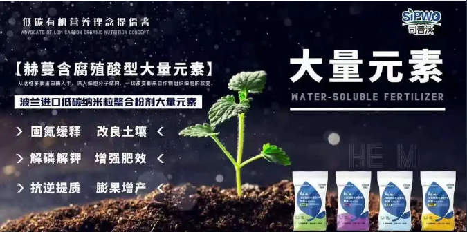 如(rú)何選擇葉面肥？葉面肥的(de)施用(yòng)形式你(nǐ)了(le)解嗎(ma)？