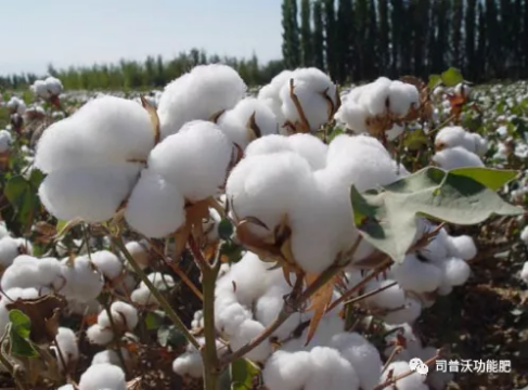 1619060097509965.png image.png