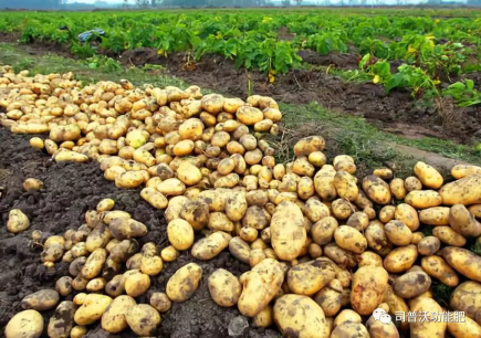 1619060403671958.png image.png