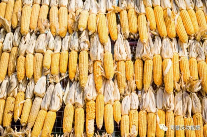 1619060432210825.png image.png