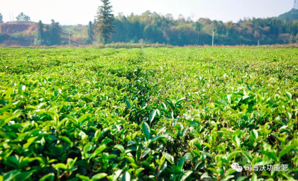 1619060518334898.png image.png