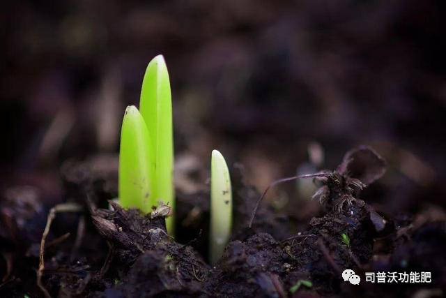 1619062530750278.png image.png