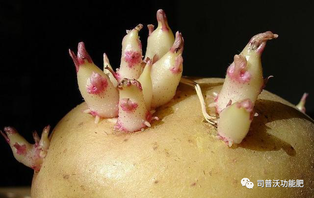 1619062605174645.png image.png