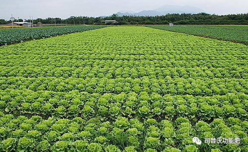 1619062656565420.png image.png