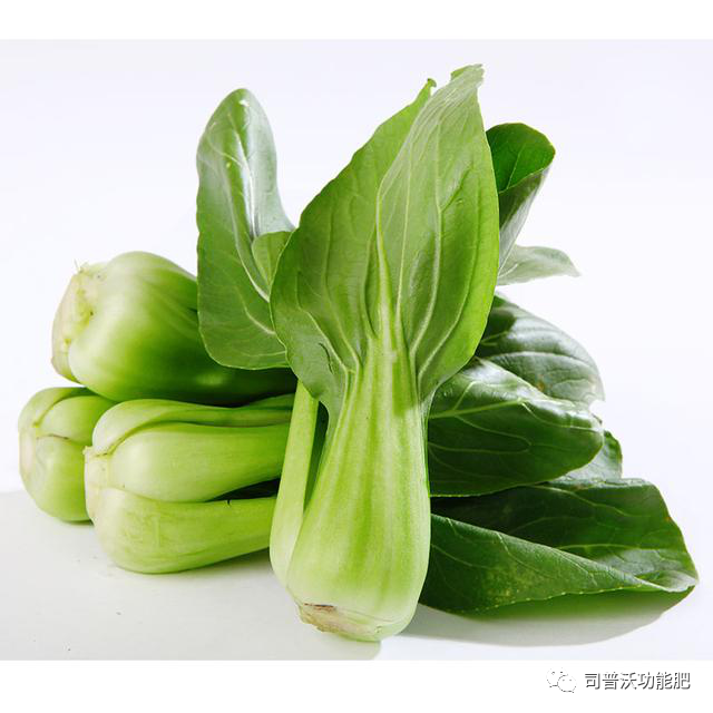 1619062680114077.png image.png