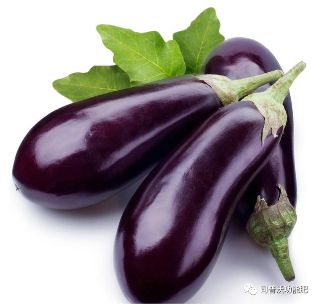 1619062710121255.png image.png