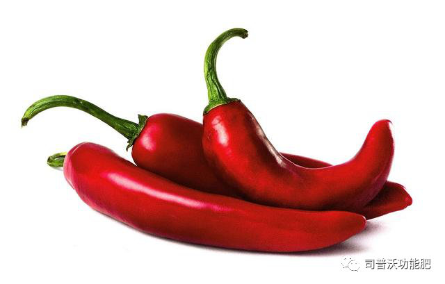 1619062729285608.png image.png