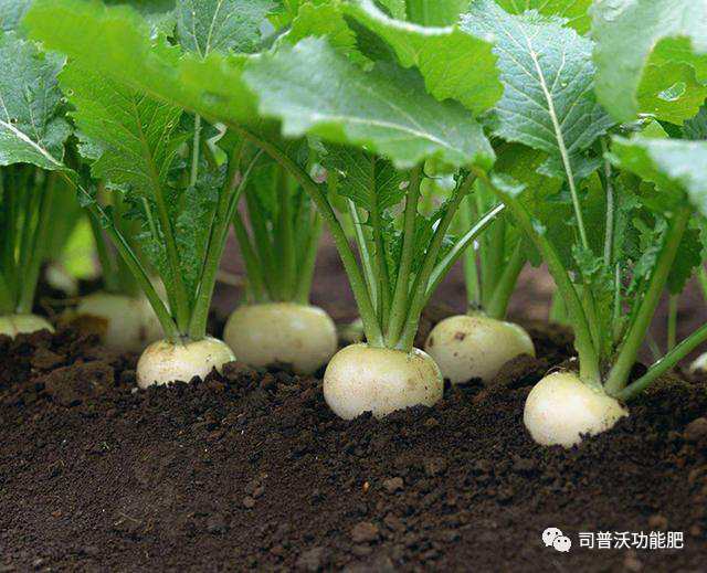 1619062747184219.png image.png