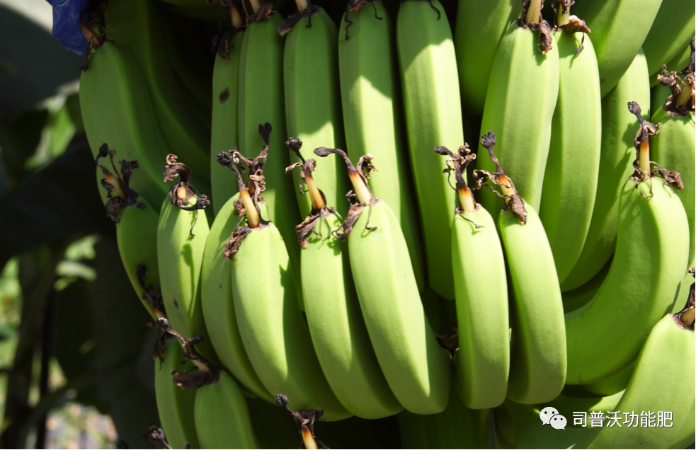 1619063937403596.png image.png