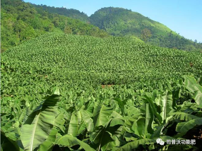 1619063994149048.png image.png