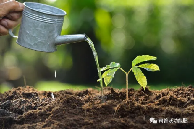 如(rú)何識别土(tǔ)壤酸堿性？6招讓你(nǐ)成為(wèi)判斷高(gāo)手！