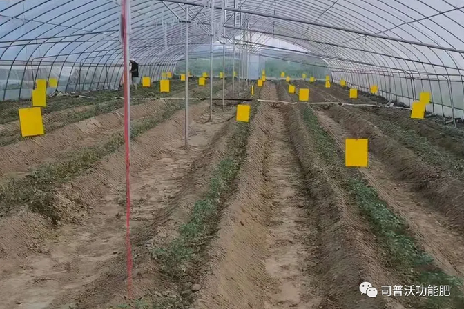 1623032101108429.png 微(wēi)信圖片_20210607101444.png