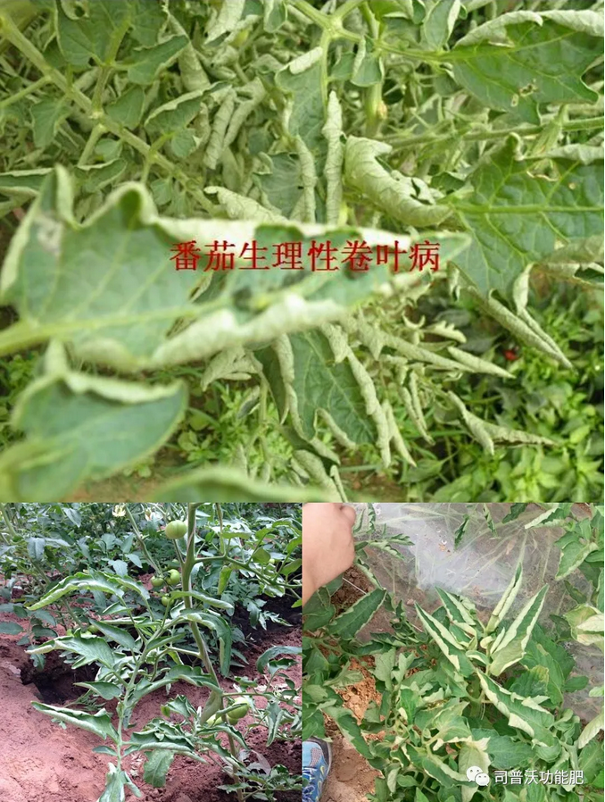 1623032212172192.png 微(wēi)信圖片_202106071014443.png