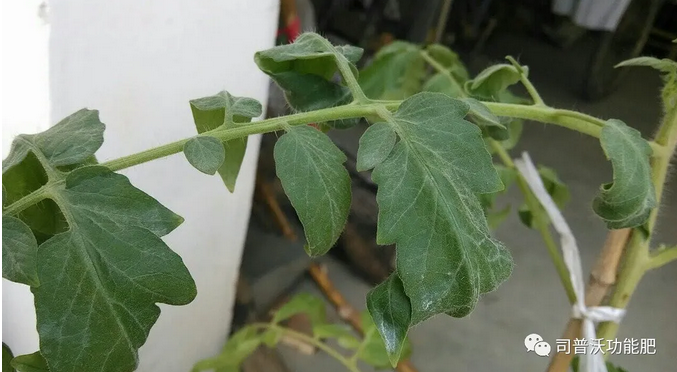 1623032250118534.png 微(wēi)信圖片_202106071014444.png