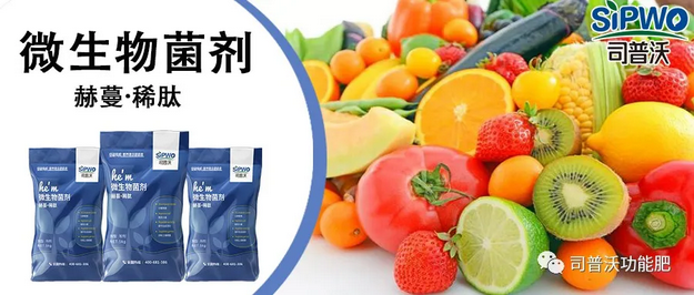 赫蔓微(wēi)生(shēng)物(wù)菌劑-分(fēn)解毒素、改良土(tǔ)壤、調節生(shēng)命活動、抑制(zhì)土(tǔ)壤病菌