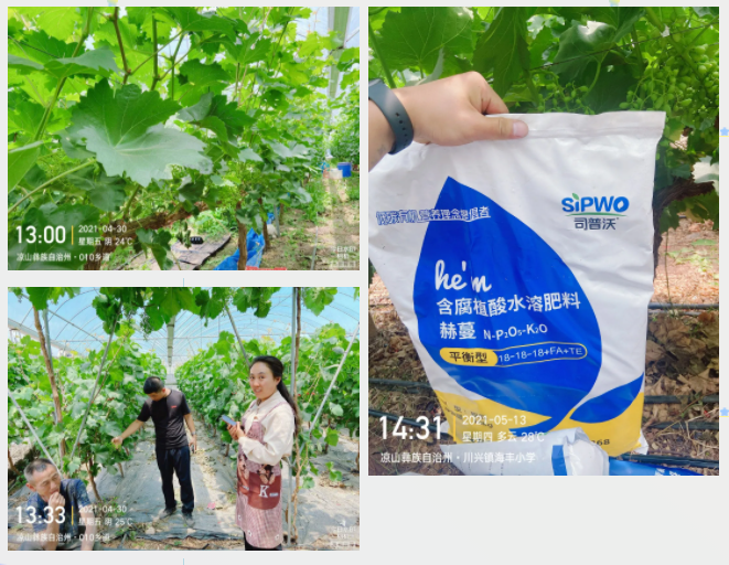 “氮、磷、鉀”三要(yào)素，你(nǐ)真吃(chī)透了(le)嗎(ma)？