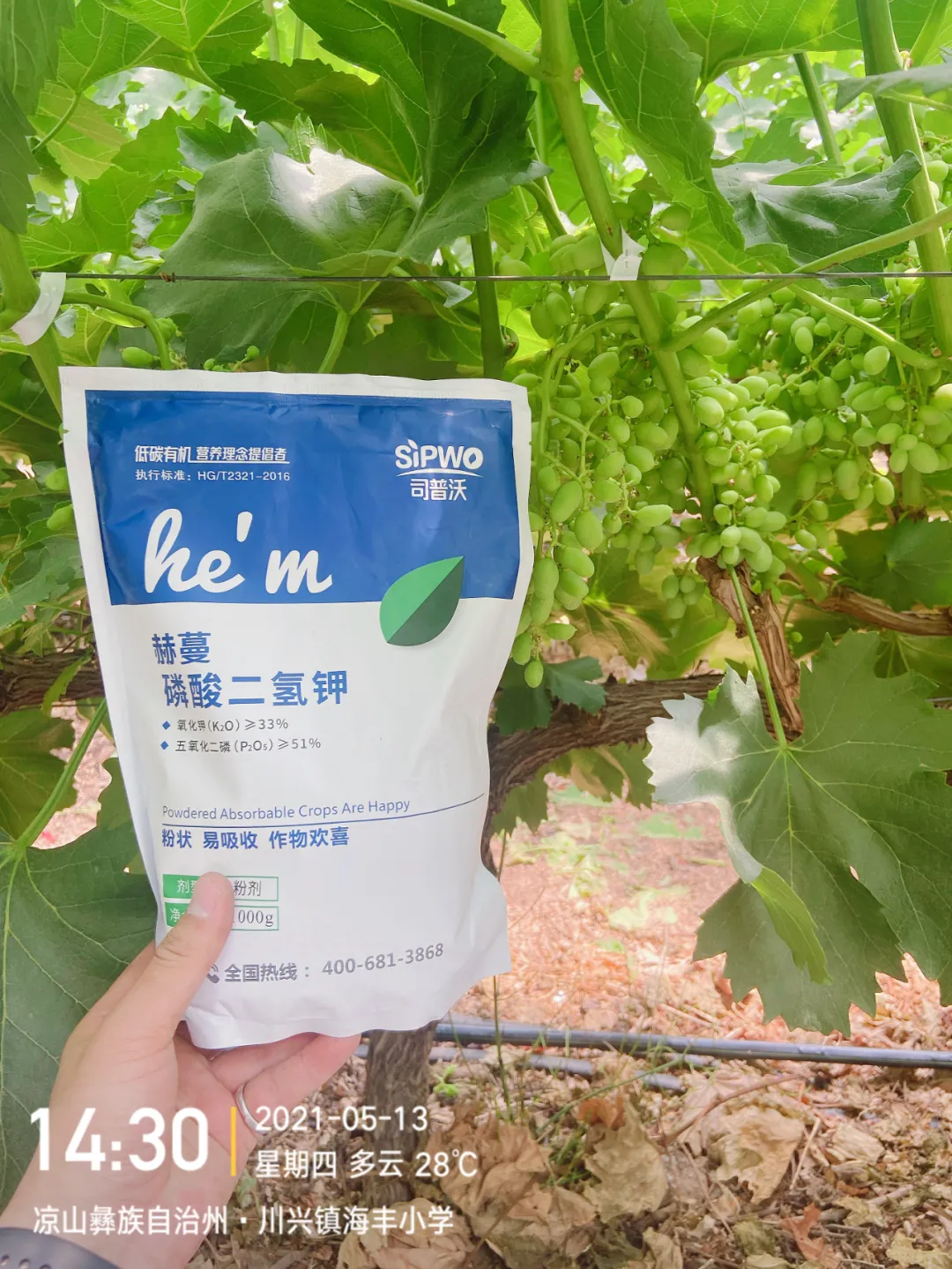 磷酸二氫鉀的(de)辨别真假現(xiàn)場(chǎng)，99%以上(shàng)是(shì)假貨！