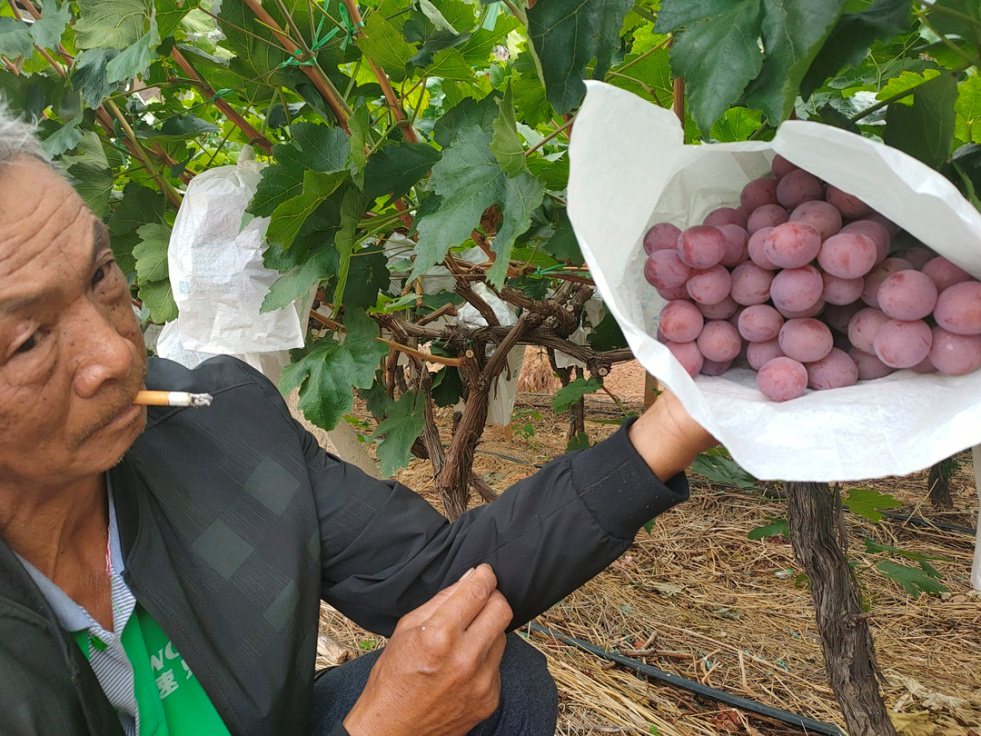 葡萄幹筋怎麽辦？司普沃叫你(nǐ)一(yī)招有(yǒu)效預防和(hé)解決