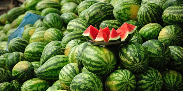 西(xī)瓜裂果怎麽辦？除了(le)水(shuǐ)的(de)管理(lǐ)還(hái)要(yào)補充這(zhè)個(gè)!