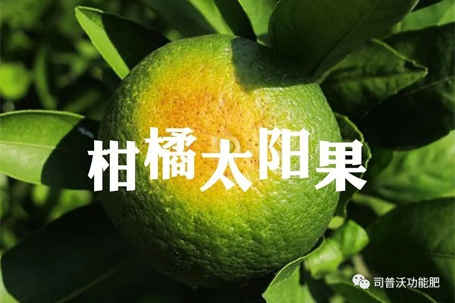 1629084538210284.png 1.png