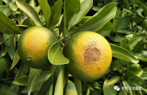 1629084566197146.png 5.png