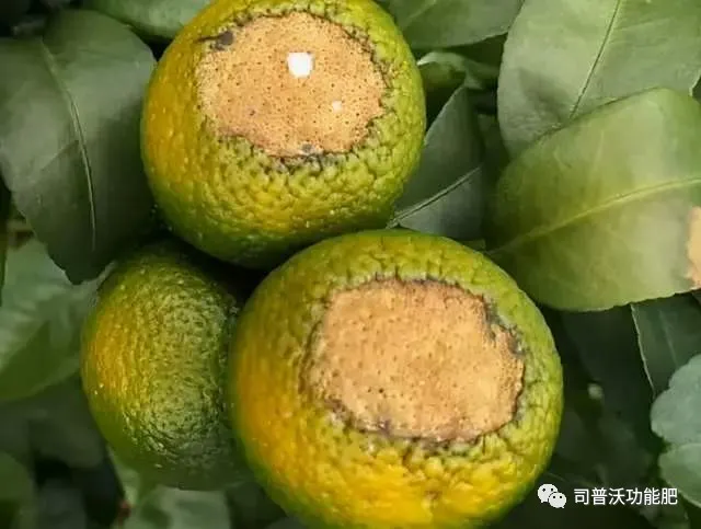 1629084570104419.png 6.png