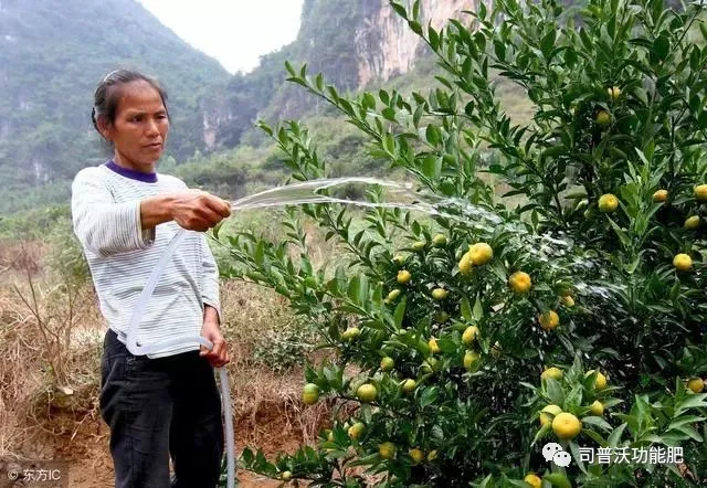 1629084576110974.png 7.png