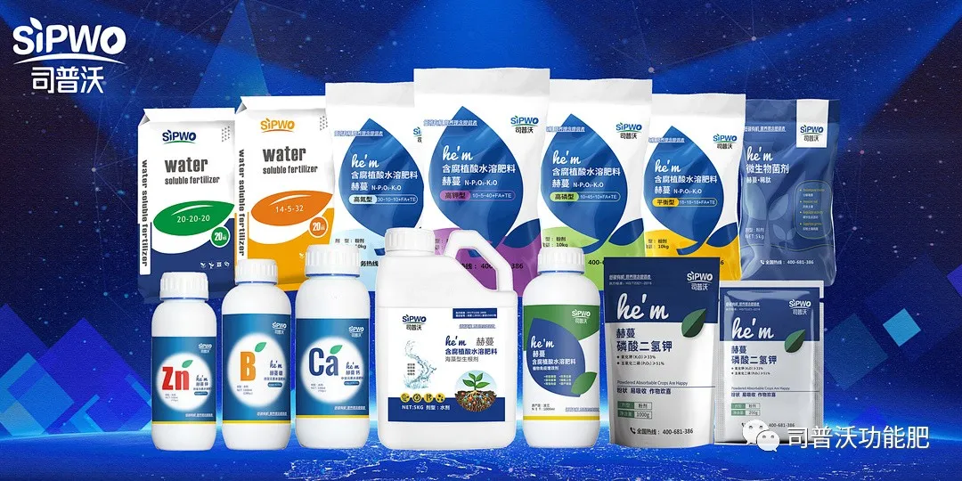 柑橘出現(xiàn)太陽果怎麽辦！如(rú)何全面防灼防裂？