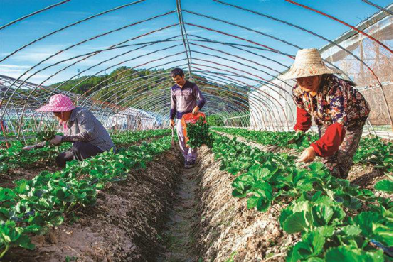 1630030905333124.png image.png