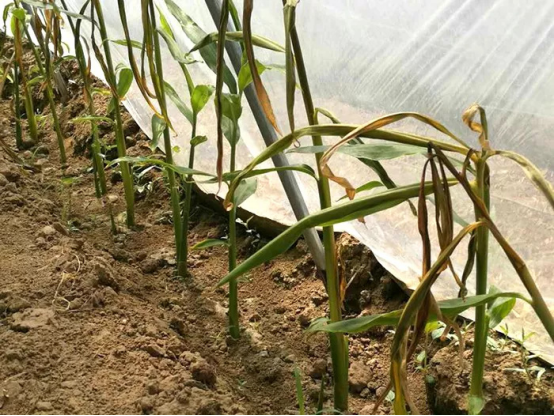 1630738050129380.png image.png