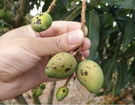 1630738133753363.png image.png