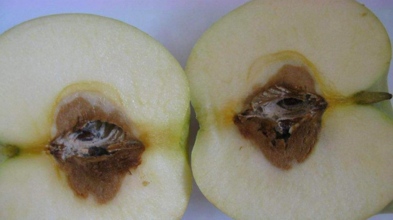 1631159143165039.png image.png