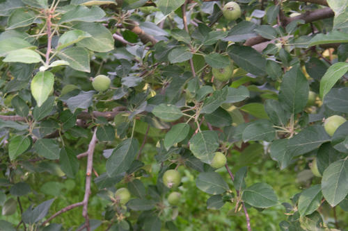 1631159212173696.png image.png