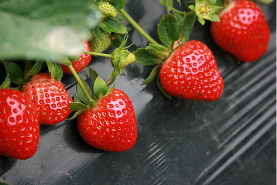 1631437386187619.png image.png