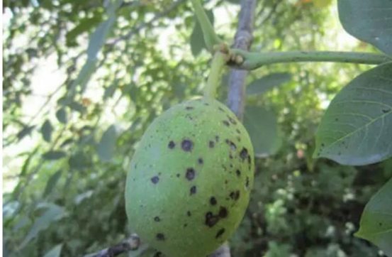 1631584102375757.png image.png