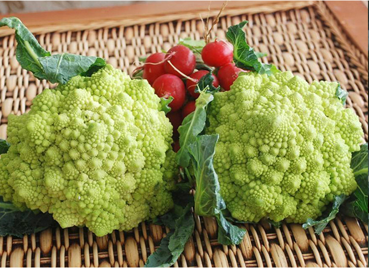 司普沃淺談花(huā)椰菜細菌性黑(hēi)斑病防治技(jì)術(shù)與管理(lǐ)