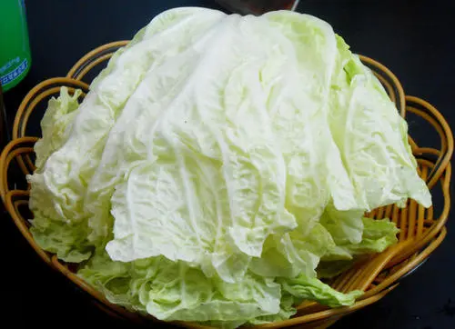 司普沃淺談白(bái)菜白(bái)鏽病發病症狀及防治技(jì)術(shù)