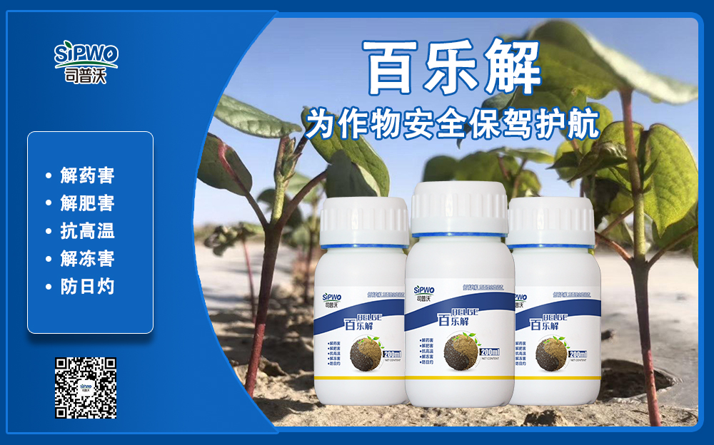 司普沃赫蔓百樂(yuè)解，解凍害、解肥害、解藥害，棉花(huā)上(shàng)再顯神威！