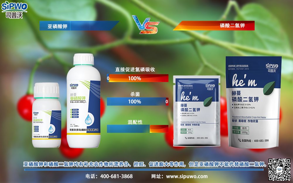 既能(néng)當農(nóng)藥，又(yòu)能(néng)當肥料，亞磷酸鉀真的(de)有(yǒu)這(zhè)麽神奇嗎(ma)？