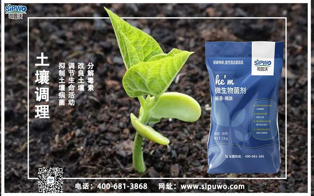 【農(nóng)技(jì)知(zhī)識】土(tǔ)壤出問(wèn)題了(le)，肥料用(yòng)再多(duō)也(yě)别想增産！