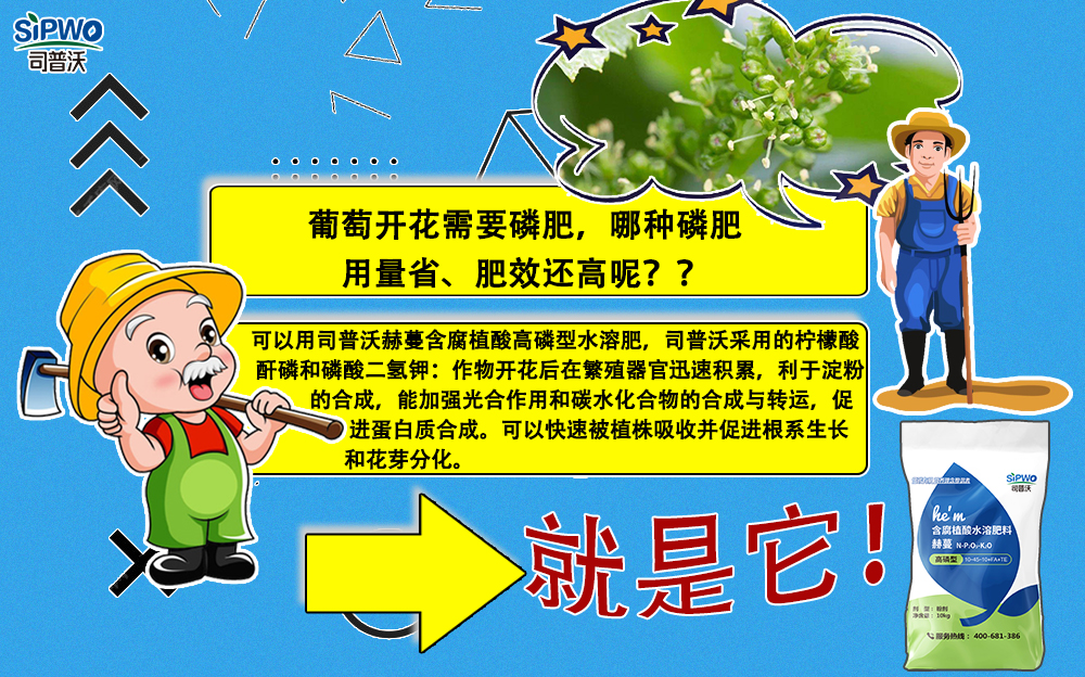 1645409526666751.jpg 葡萄萌芽高(gāo)磷肥1-1.jpg