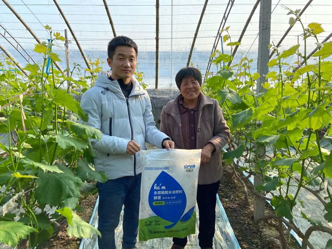 1645410010435301.jpg 葡萄葉子(zǐ)3.jpg